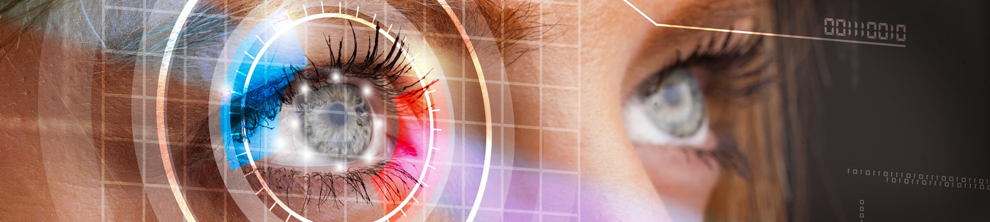 לא רואים ממטר: מבט על העיניים שלנו