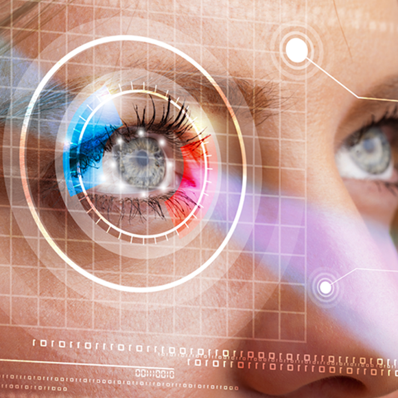 לא רואים ממטר: מבט על העיניים שלנו