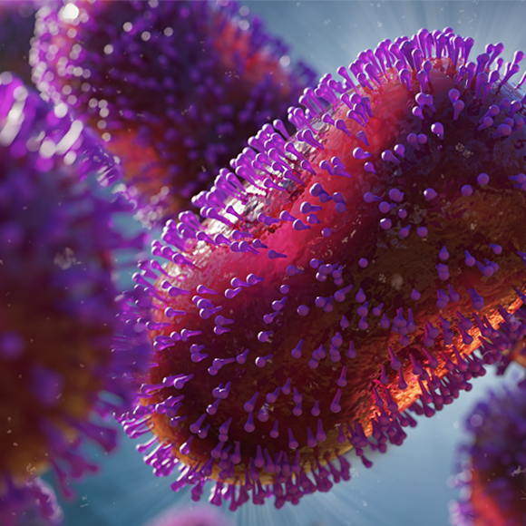 מחלות ללא גבולות – אבעבועות הקוף נשארת