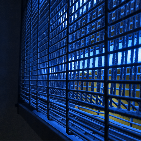 המטרה: לא להיעקץ