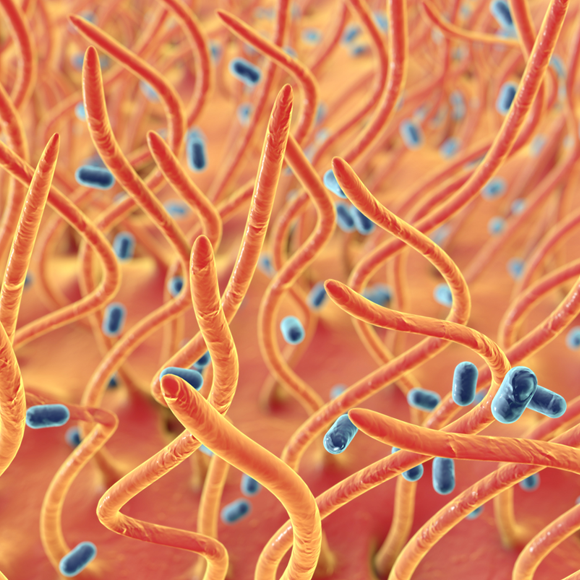 מחלות ללא גבולות – לא לוותר על החיסון המחומש