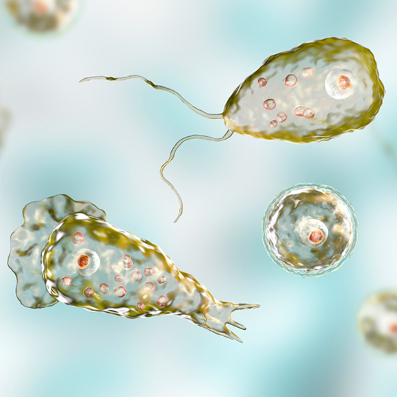 מחלות ללא גבולות – חיסוני הקורונה מתעדכנים