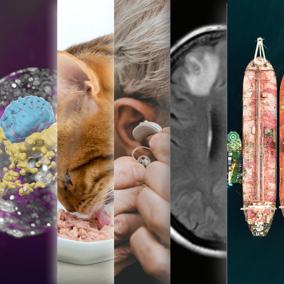 המחקרים החדשים ביותר: מהנשמדע 9/9/2023