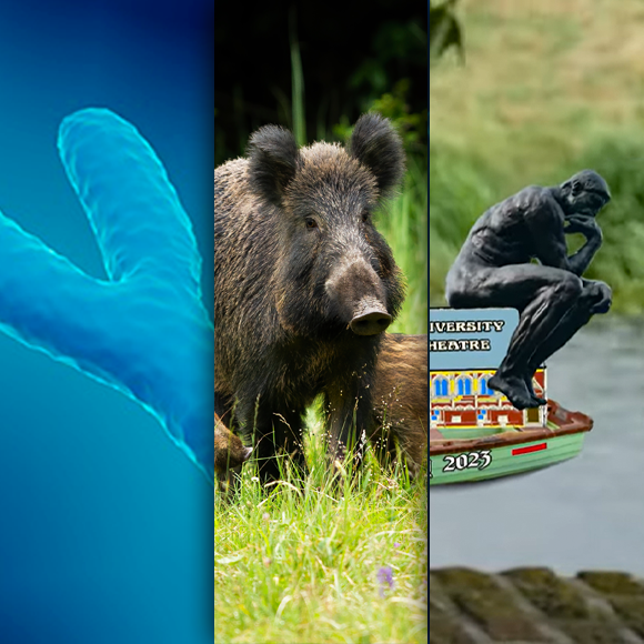 המחקרים החדשים ביותר: מהנשמדע 23/9/2023