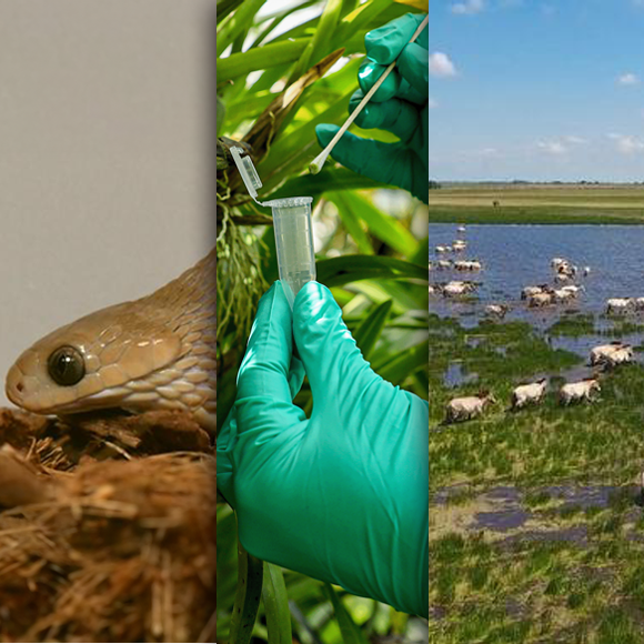 המחקרים החדשים ביותר: מהנשמדע 30/9/2023