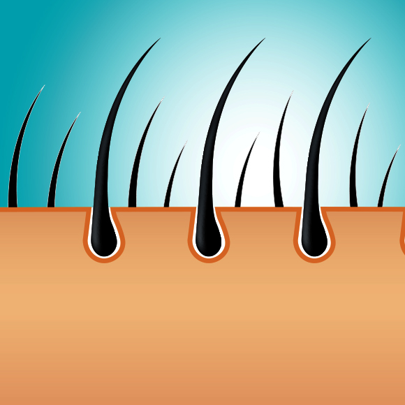 Are All Hairs Created Equal?