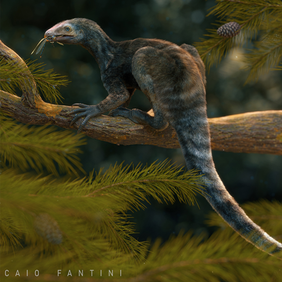 פטרוזאור, לפני שלמד לעוף