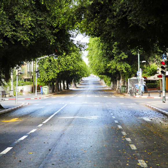 יום כיפור והתקווה לסביבה