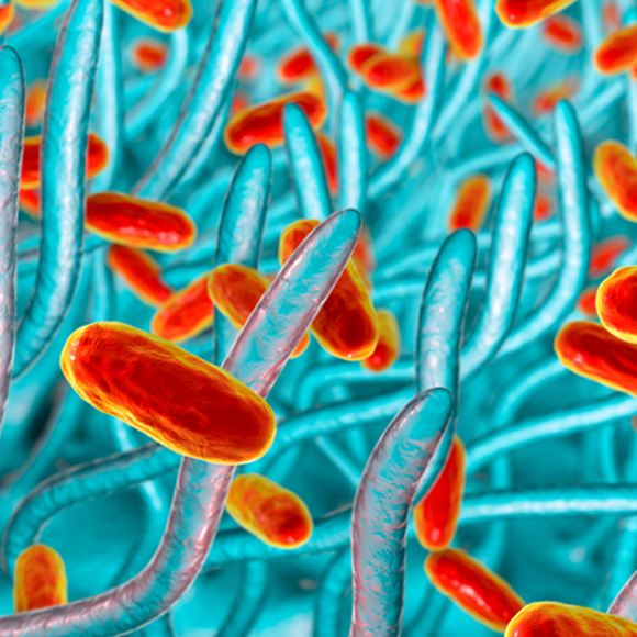 האנשים של מכון דוידסון