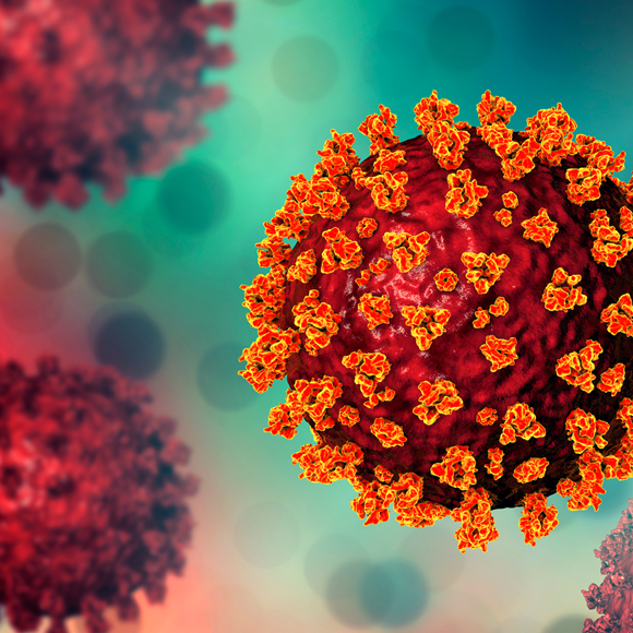 הקורונה מרימה ראש: מחלות ללא גבולות