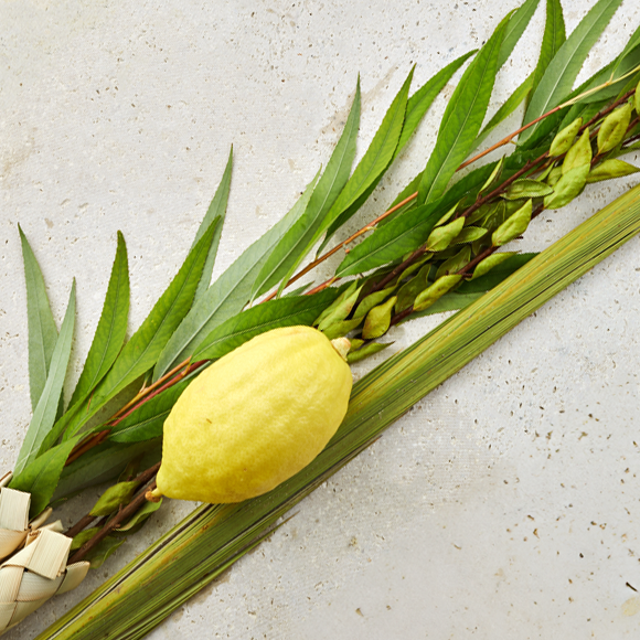 הטעם והריח של ארבעת המינים