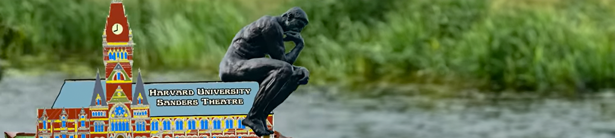 הנפשת גופות עכבישים וכלי אוכל מחושמלים: איג נובל 2023