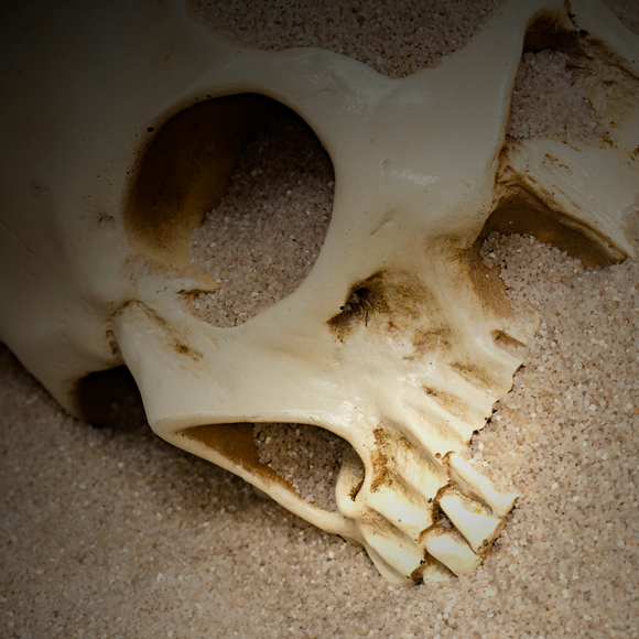 האם האנושות כמעט נכחדה? אולי