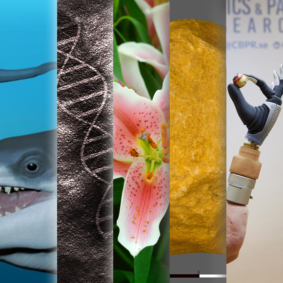 המחקרים החדשים ביותר: מהנשמדע 11/11/2023