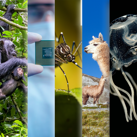 המחקרים החדשים ביותר: מהנשמדע 17/11/2023