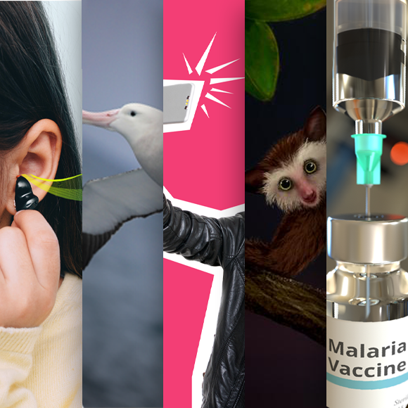 המחקרים החדשים ביותר: מהנשמדע 25/11/2023