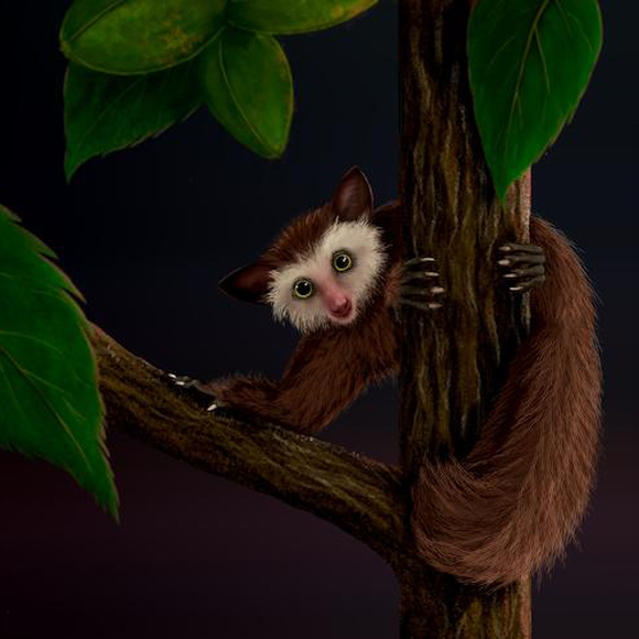 הפרימט המסתורי שהגיע לאמריקה מסין