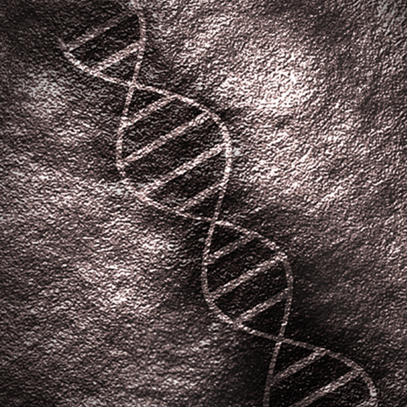 האדם המודרני שבניאנדרטל