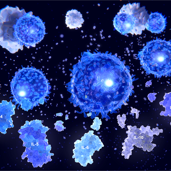 הטיפול שישמור על מערכת החיסון מפני עצמה