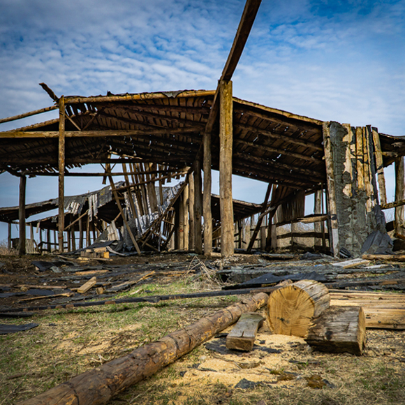 המלחמה של חיות המשק