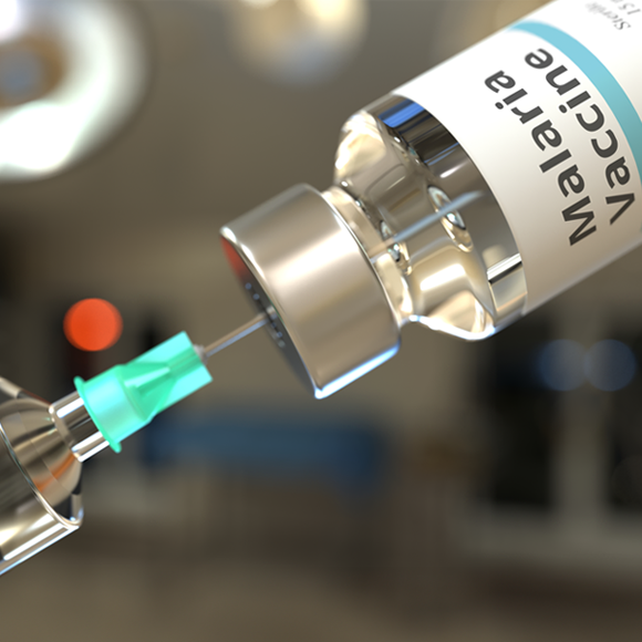 עוד חיסון למלריה: טובים השניים מן האחד