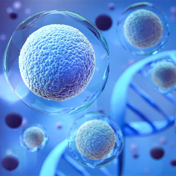 תורשה מחוץ לקופסה