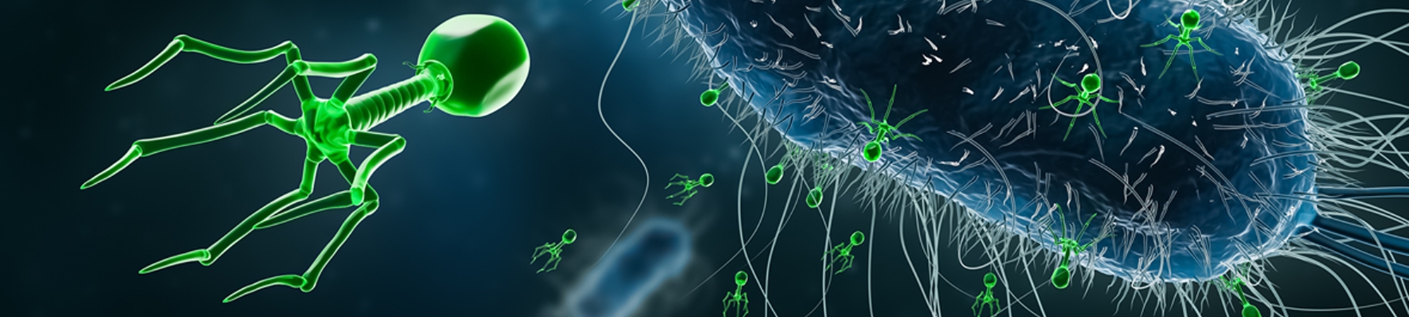 צבא מחסלי החיידקים