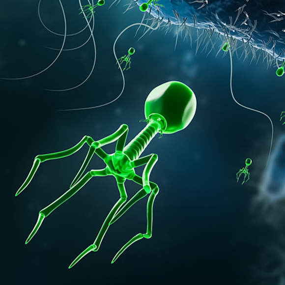 צבא מחסלי החיידקים