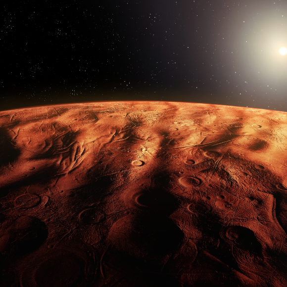 התפתחות עוברית בלי כבידה: השבוע בחלל