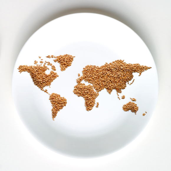 Can Biofortification Solve World Hunger?