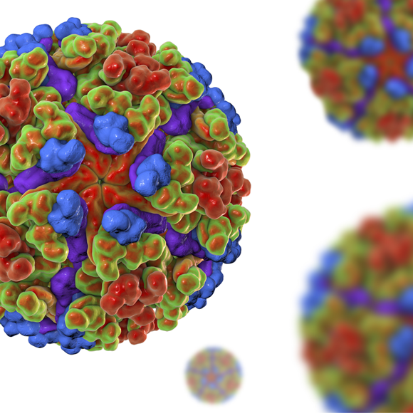 מחלות ללא גבולות: מהדורת יתושים