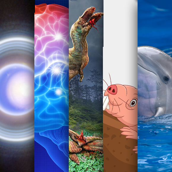 המחקרים החדשים ביותר: מהנשמדע 23/12/2023