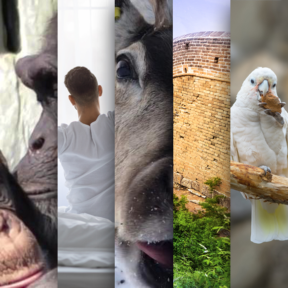 המחקרים החדשים ביותר: מהנשמדע 30/12/2023