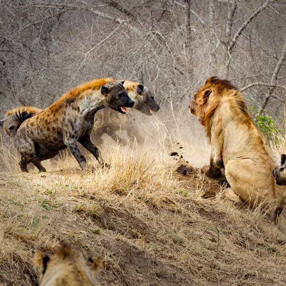עם קצת עזרה מחברים