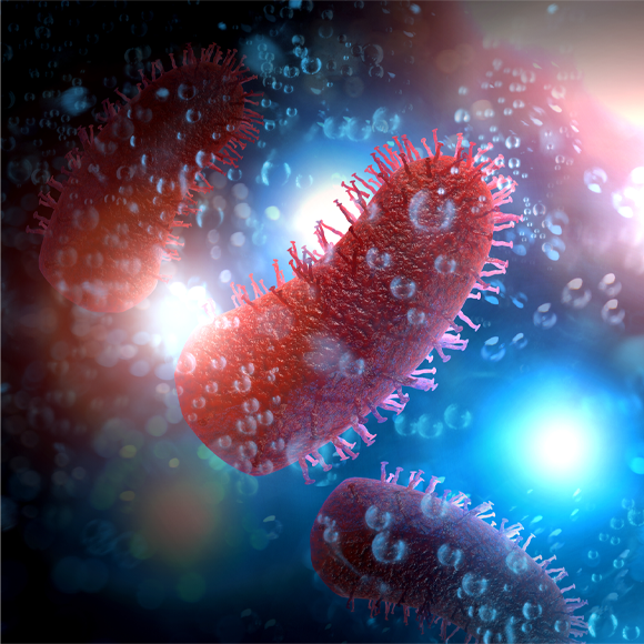 מחלות ללא גבולות: תזכורת כואבת לכלבת