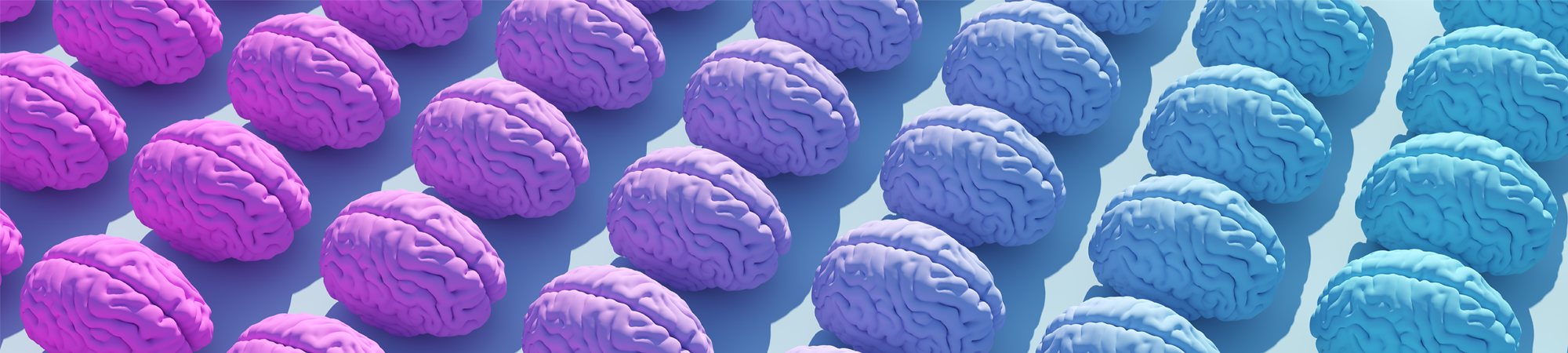 המוח שלו, המוח שלה