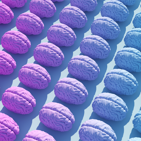 המוח שלו, המוח שלה