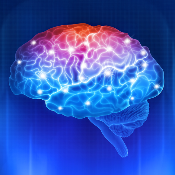 לגרות את מעמקי המוח – מבחוץ