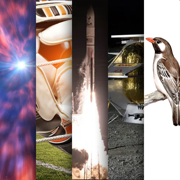 המחקרים החדשים ביותר: מהנשמדע 13/1/2024