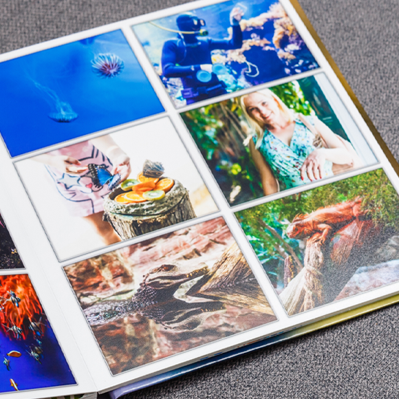 לתת למחשבות לטייל