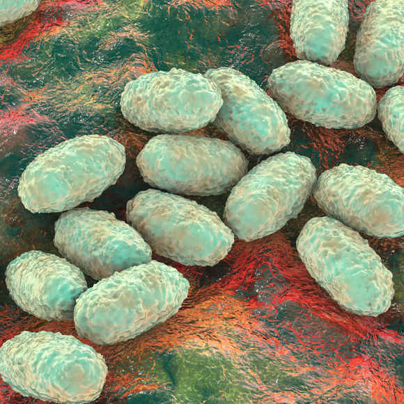 מחלות ללא גבולות: מחלות נשימתיות