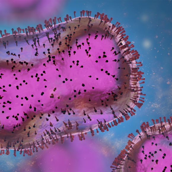 חצבת, כלבת, צהבת: מחלות ללא גבולות