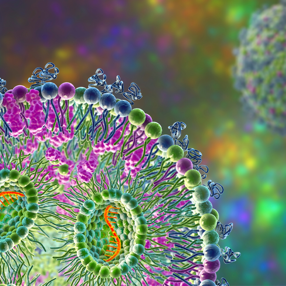 החלבונים המפתיעים של חיסוני ה-mRNA