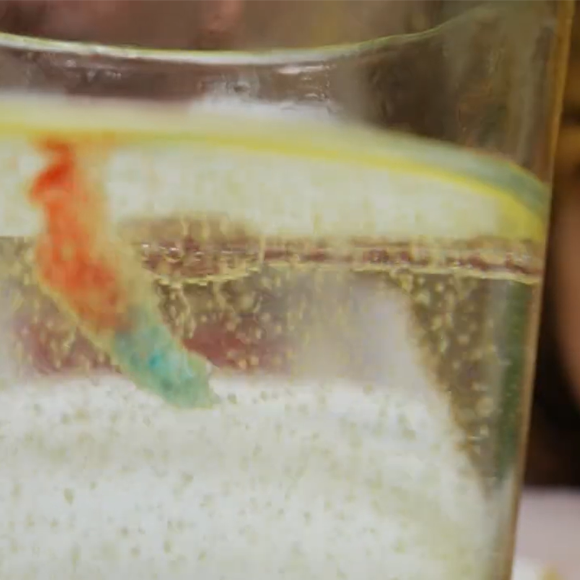 תולעי גומי מתעוררות לחיים