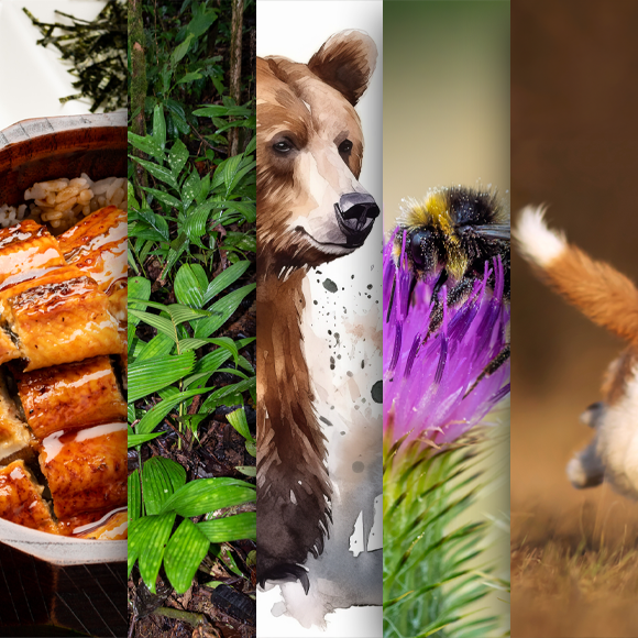 המחקרים החדשים ביותר: מהנשמדע 10/2/2024