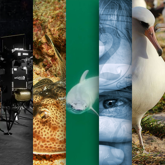 המחקרים החדשים ביותר: מהנשמדע 17/2/2024