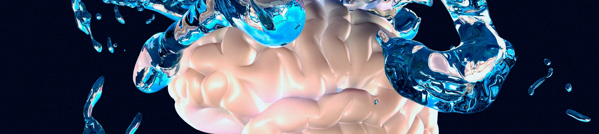 ما هو السرخس؟ غسيل دماغ 137