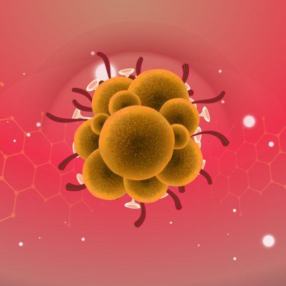 מחלות ללא גבולות: חצבת ואבעבועות קוף