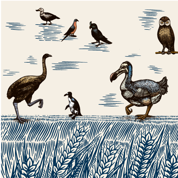 The Alarming State of Nature – Birds in Crisis