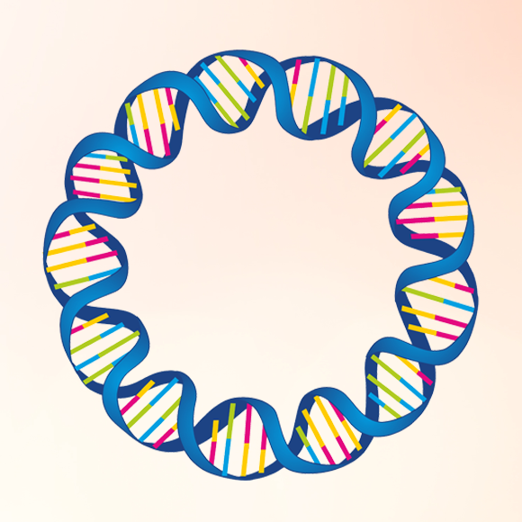 האבולוציה פחות אקראית משחשבנו